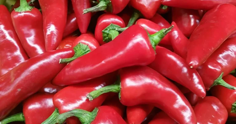 Fresno Peppers Recipe: The Ultimate Guide